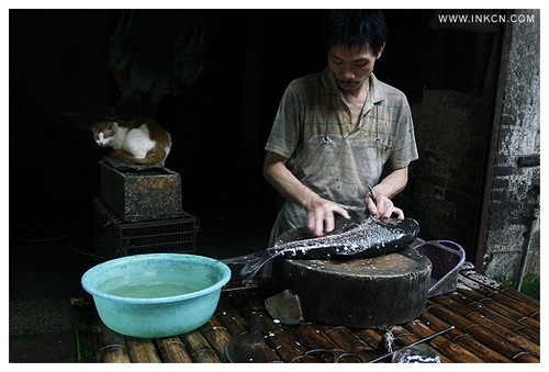 用相機見證我們的時代 街頭攝影經(jīng)驗談 